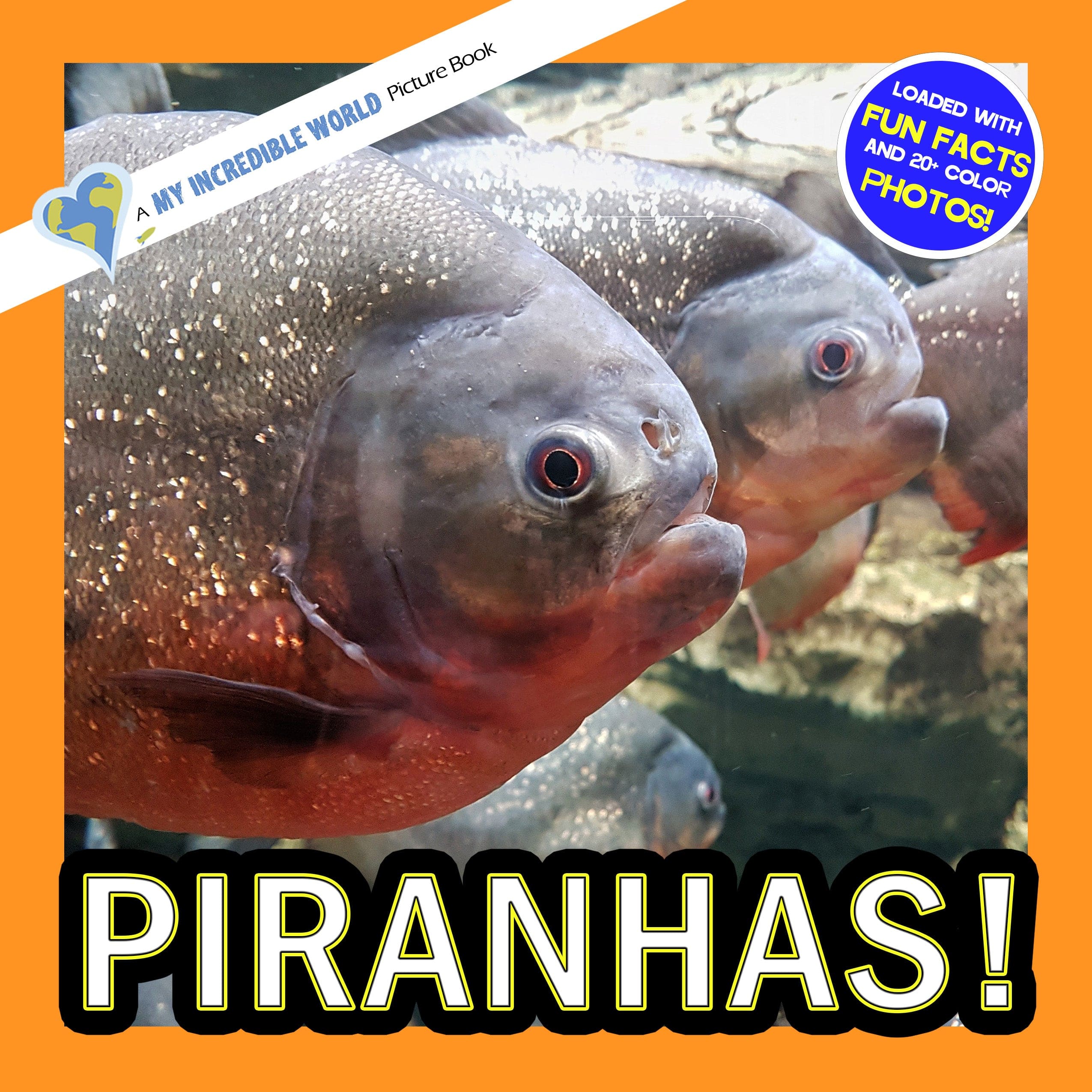 Piranhas! A My Incredible World Picture Book for Children